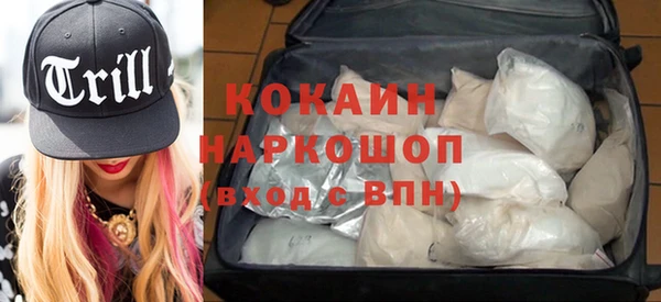 гидра Бородино