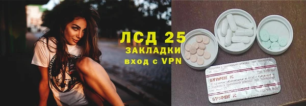 гидра Бородино