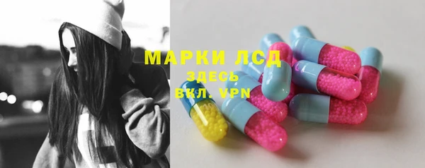 гидра Бородино