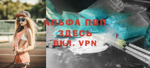 гидра Бородино