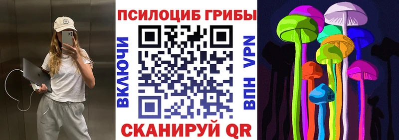 Псилоцибиновые грибы Psilocybe  нарко площадка телеграм  Нолинск 